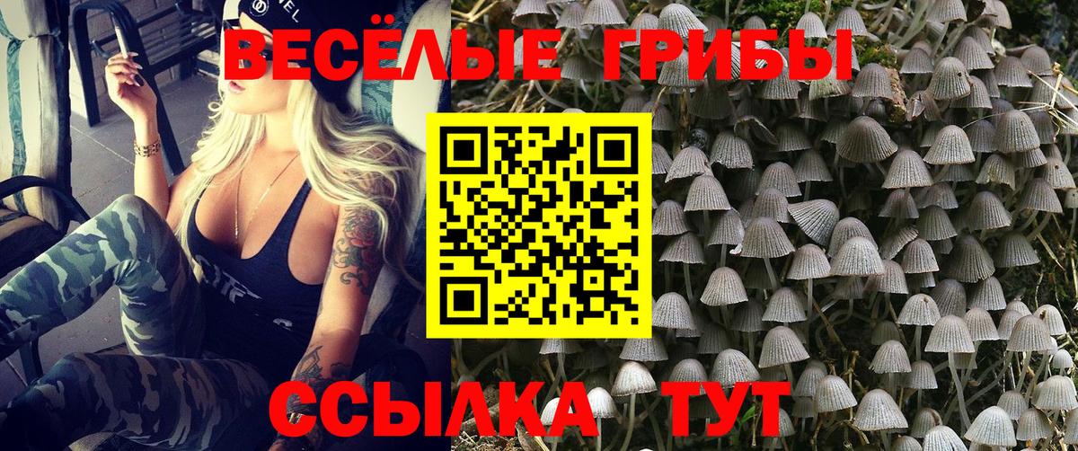 Псилоцибиновые грибы ЛСД Саров