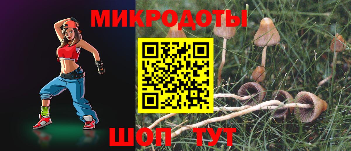 Саров  Псилоцибиновые грибы Cubensis  Вход с VPN  Псилоцибиновые грибы мухоморы 