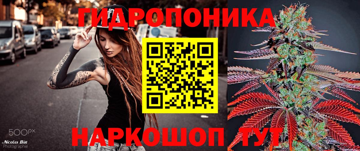 Каннабис AK-47  Шишки марихуана гибрид  Бошки марихуана планчик  Саров  Вход с VPN 